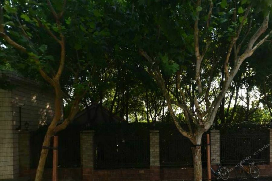 Green Court Residence Jinqiao Diamond Sanghaj Kültér fotó
